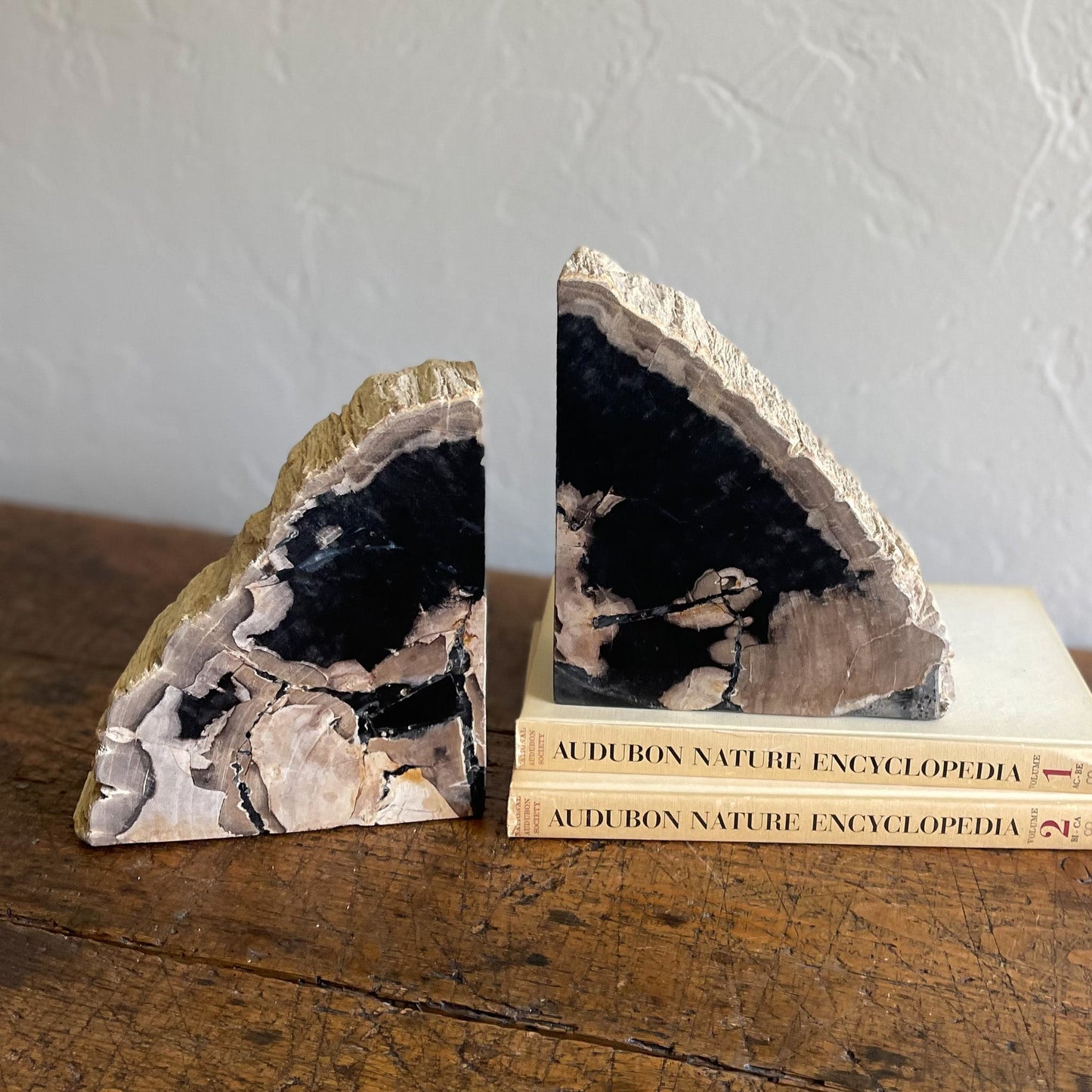 Petrified Wood Bookends