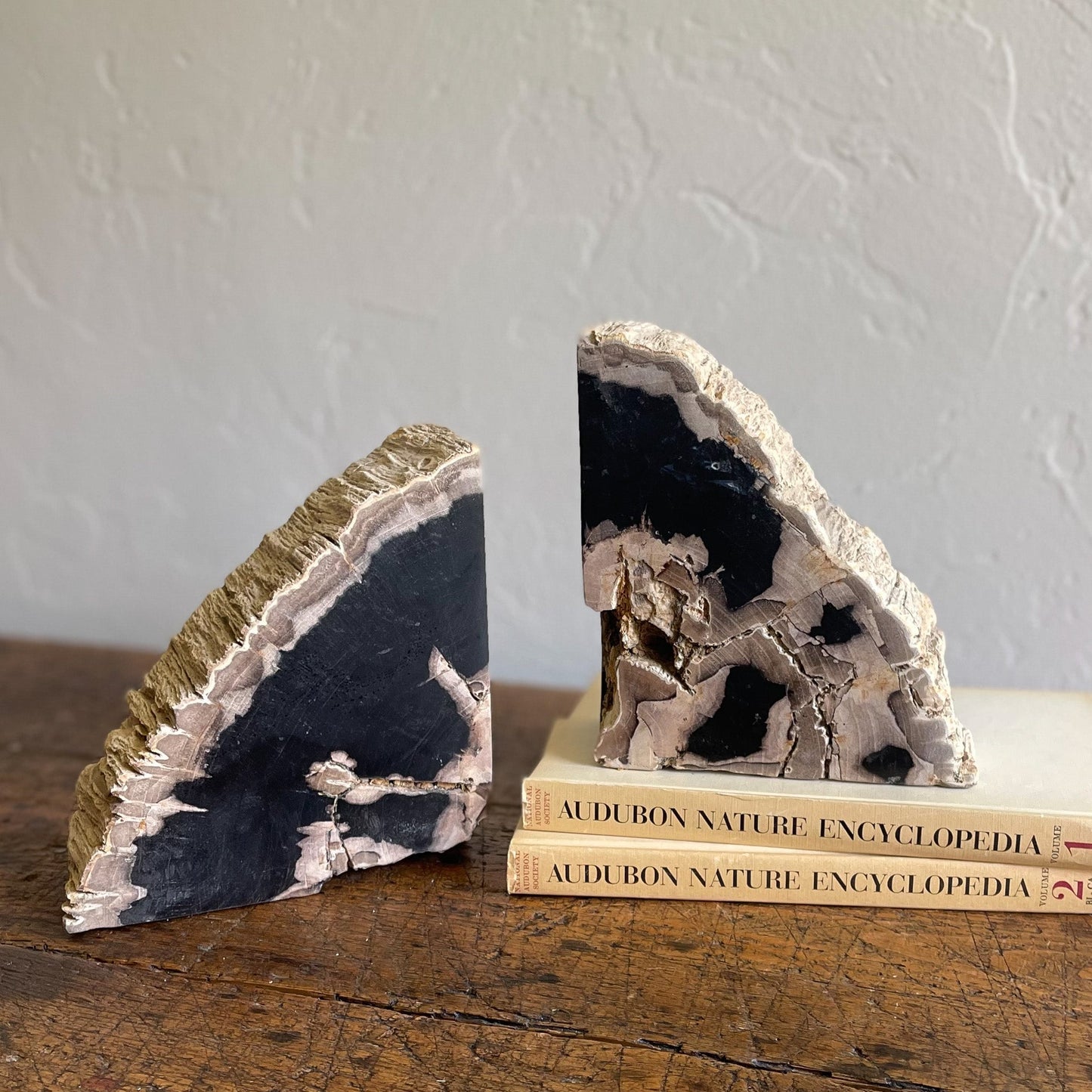 Petrified Wood Bookends