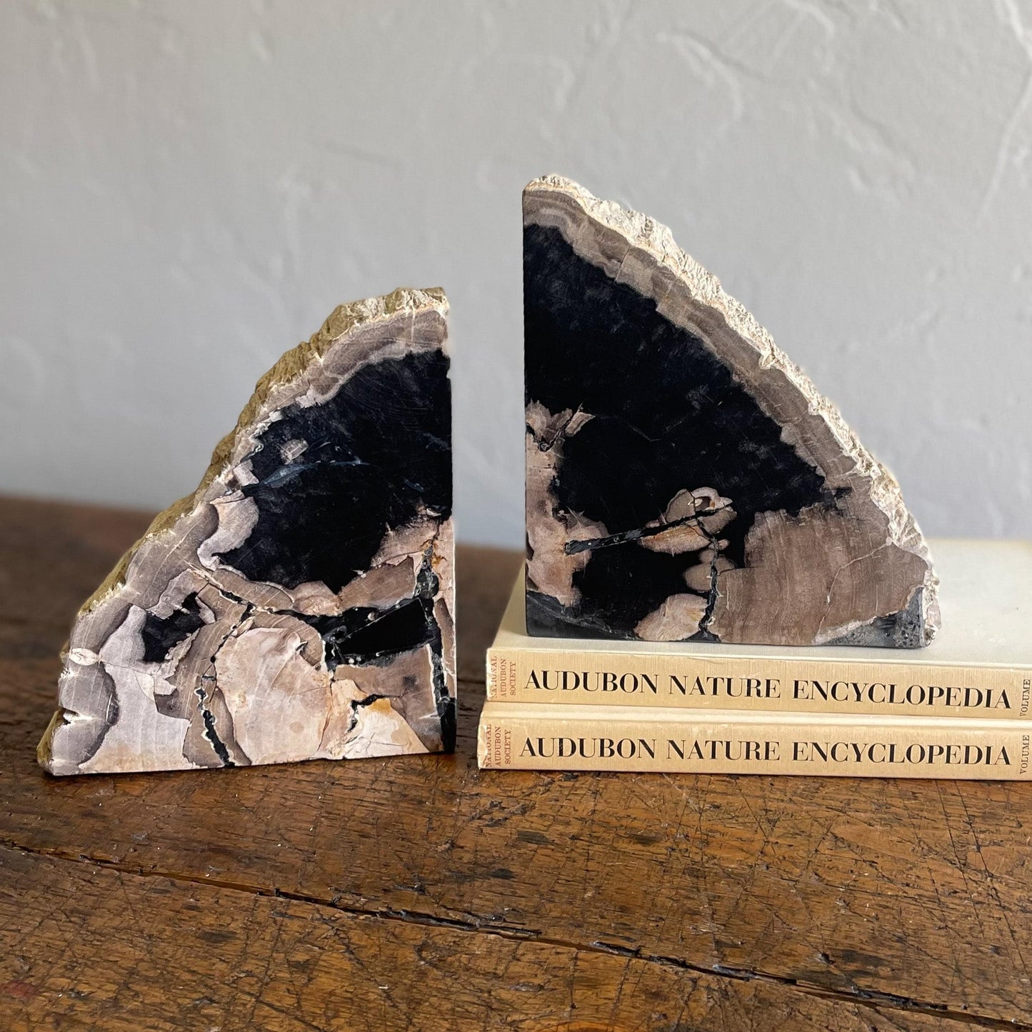 Petrified Wood Bookends