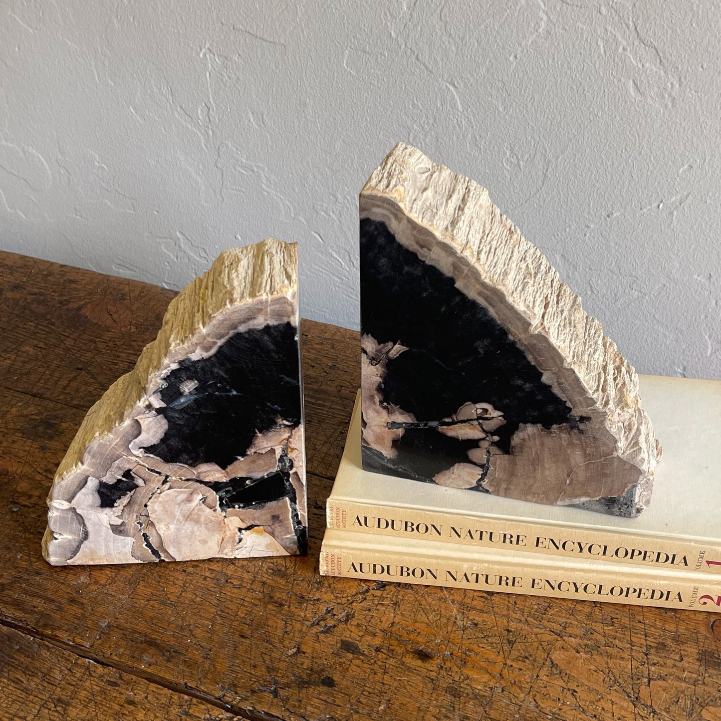 Petrified Wood Bookends