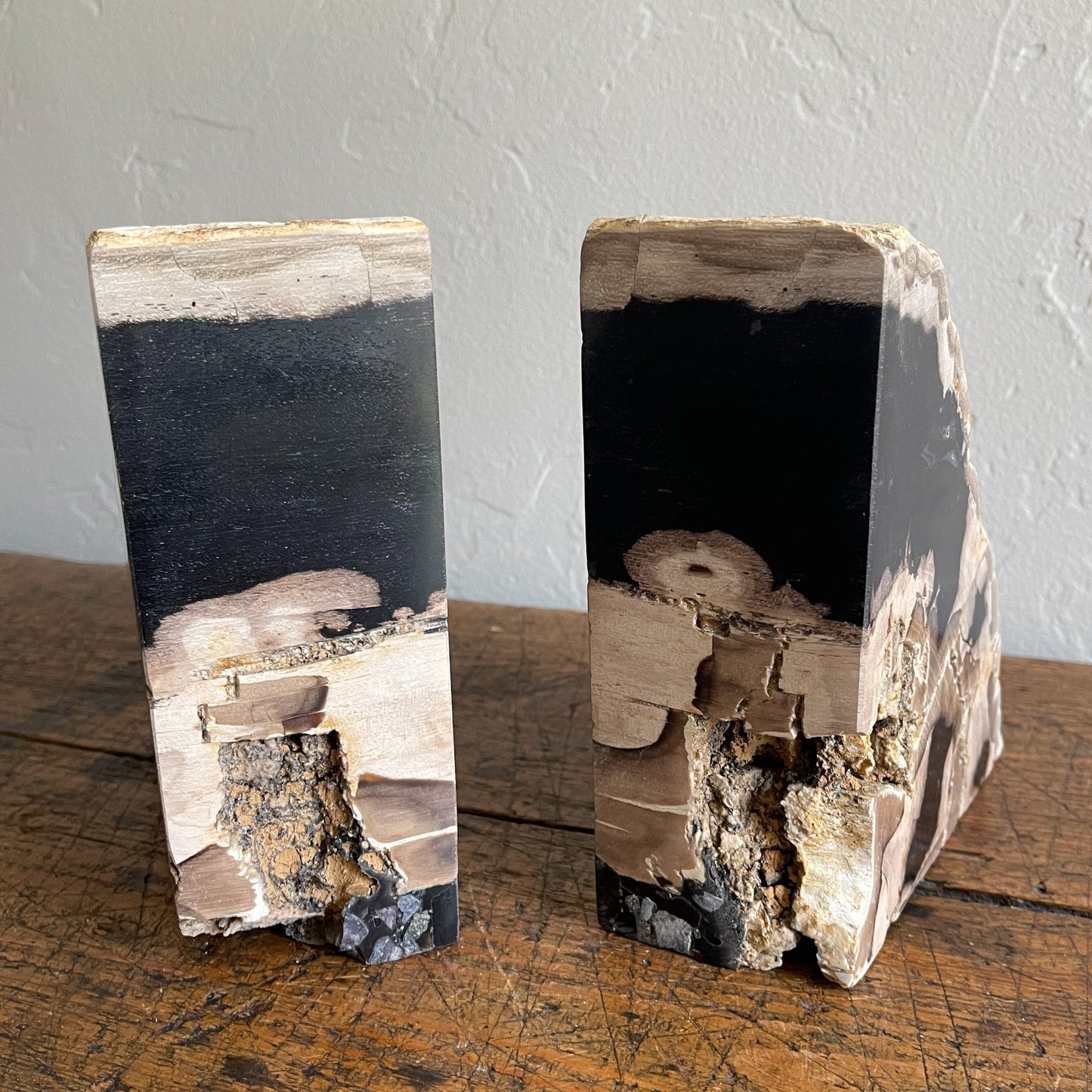 Petrified Wood Bookends