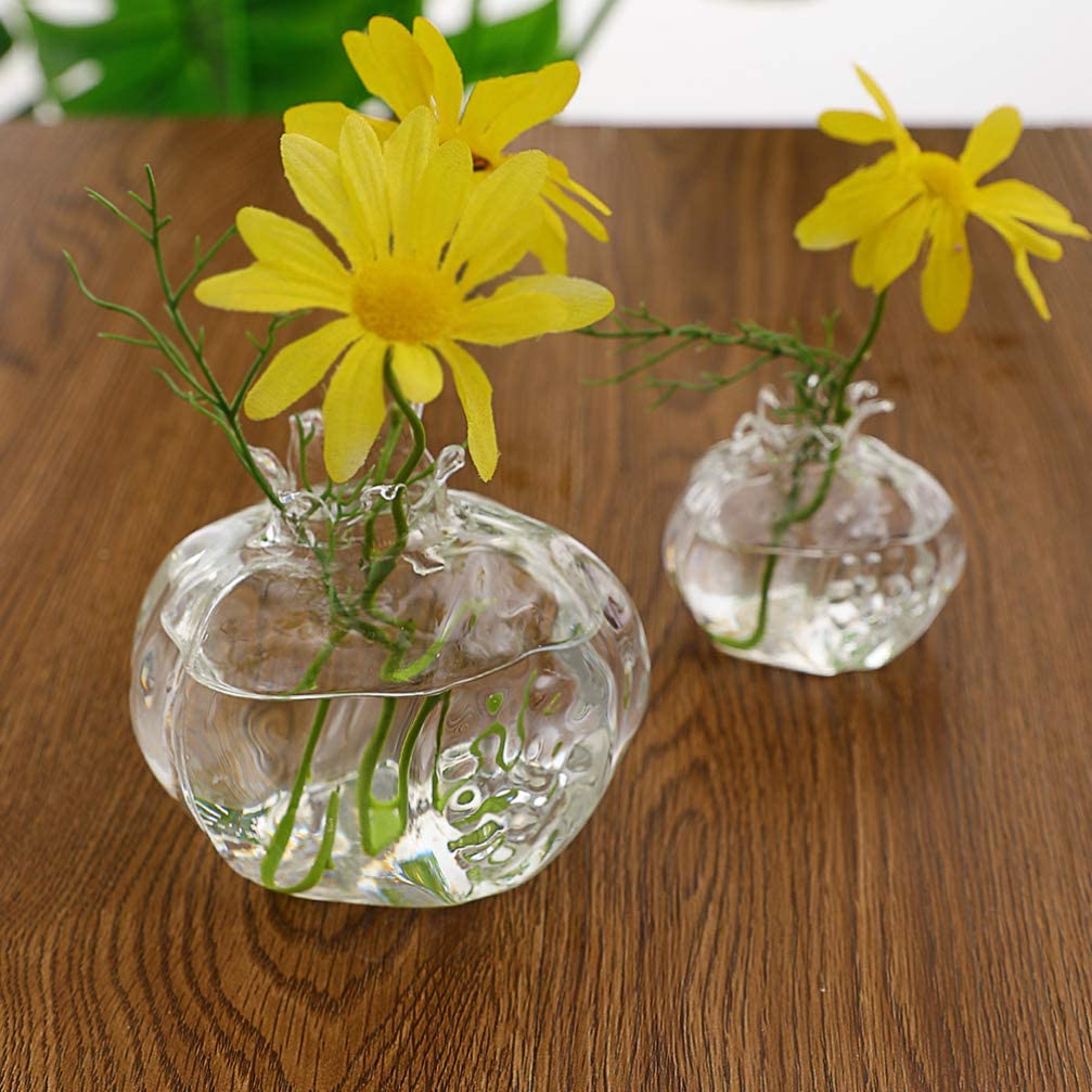 Pomegranate Hydroponic Clear Glass Flower Vase