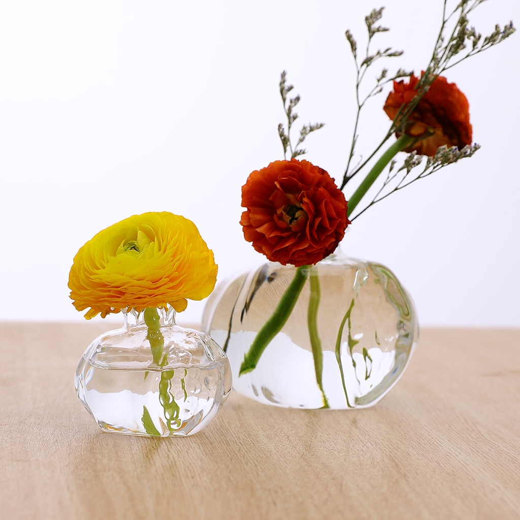 Pomegranate Hydroponic Clear Glass Flower Vase