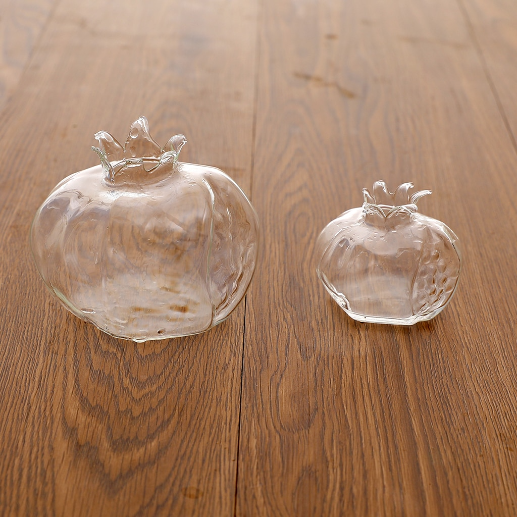 Pomegranate Hydroponic Clear Glass Flower Vase