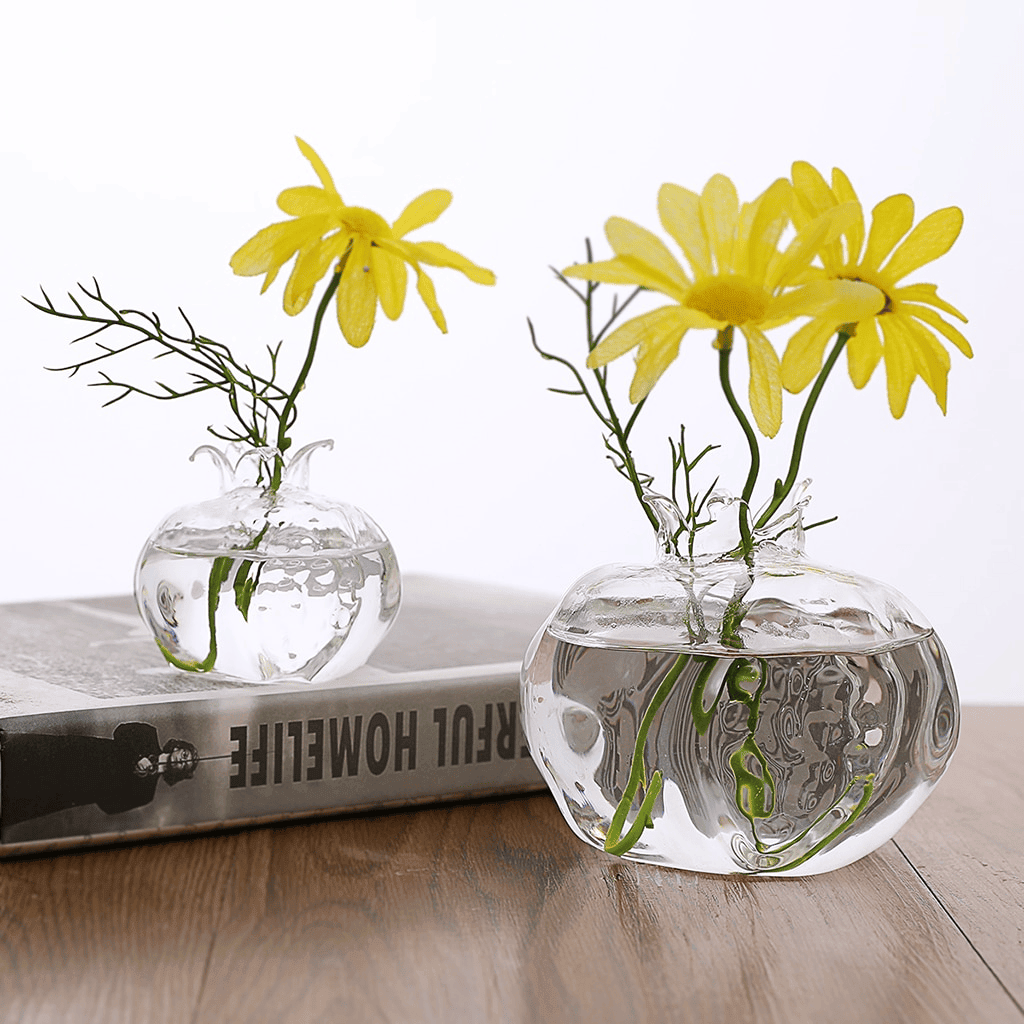 Pomegranate Hydroponic Clear Glass Flower Vase