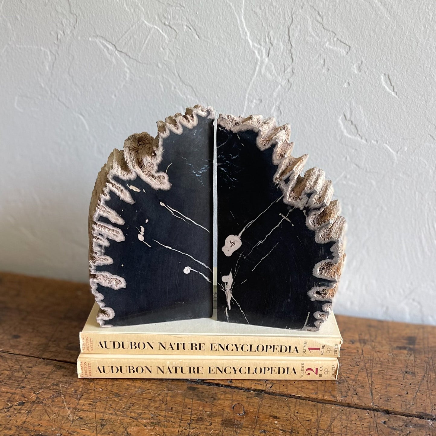 Petrified Wood Bookends